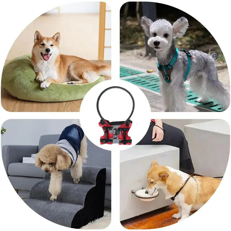 Adjustable Blind Dog Safety Halo – Lightweight Collision Protection Guide for Visually Impaired Dogs