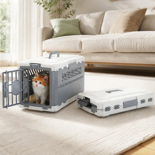 Orange and white kitten inside an assembled grey and white pet carrier with a folded carrier next to it