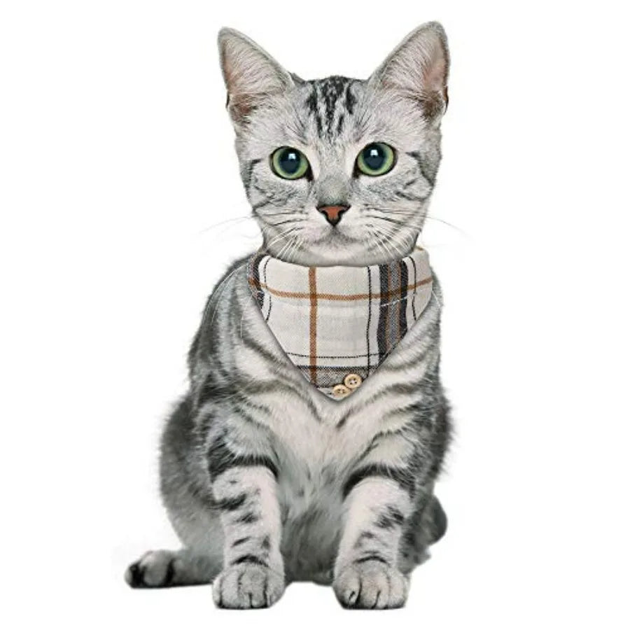Silver tabby cat wearing a beige and brown plaid pet bandana with two wooden buttons