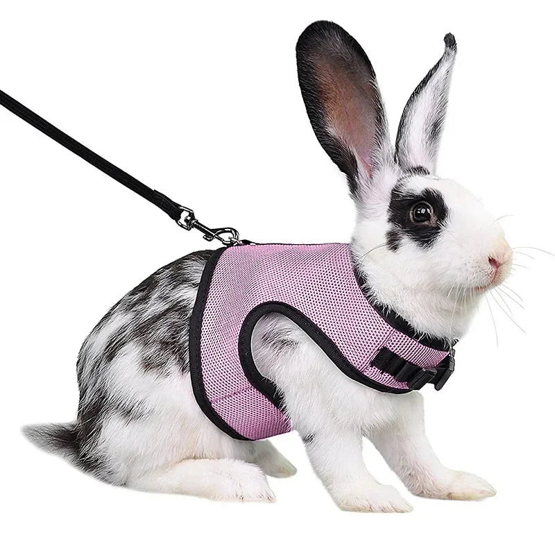 Breathable Mesh Harness & Leash Set for Small Pets – Rabbits, Guinea Pigs, Ferrets & Cats