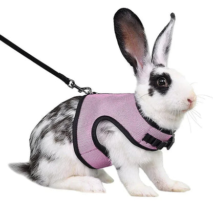 Breathable Mesh Harness & Leash Set for Small Pets – Rabbits, Guinea Pigs, Ferrets & Cats