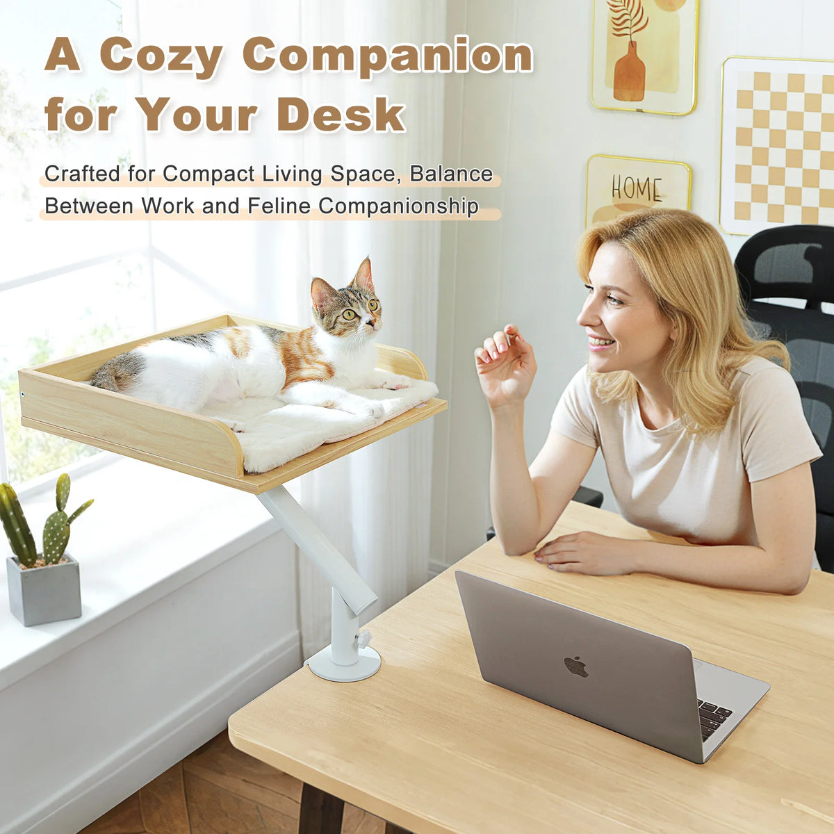 Cat resting on a wooden desk mounted cat perch next to a woman working on a laptop