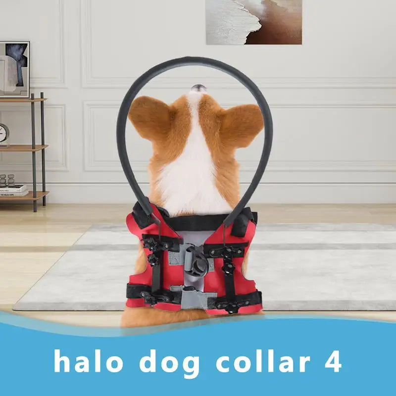 Adjustable Blind Dog Safety Halo – Lightweight Collision Protection Guide for Visually Impaired Dogs