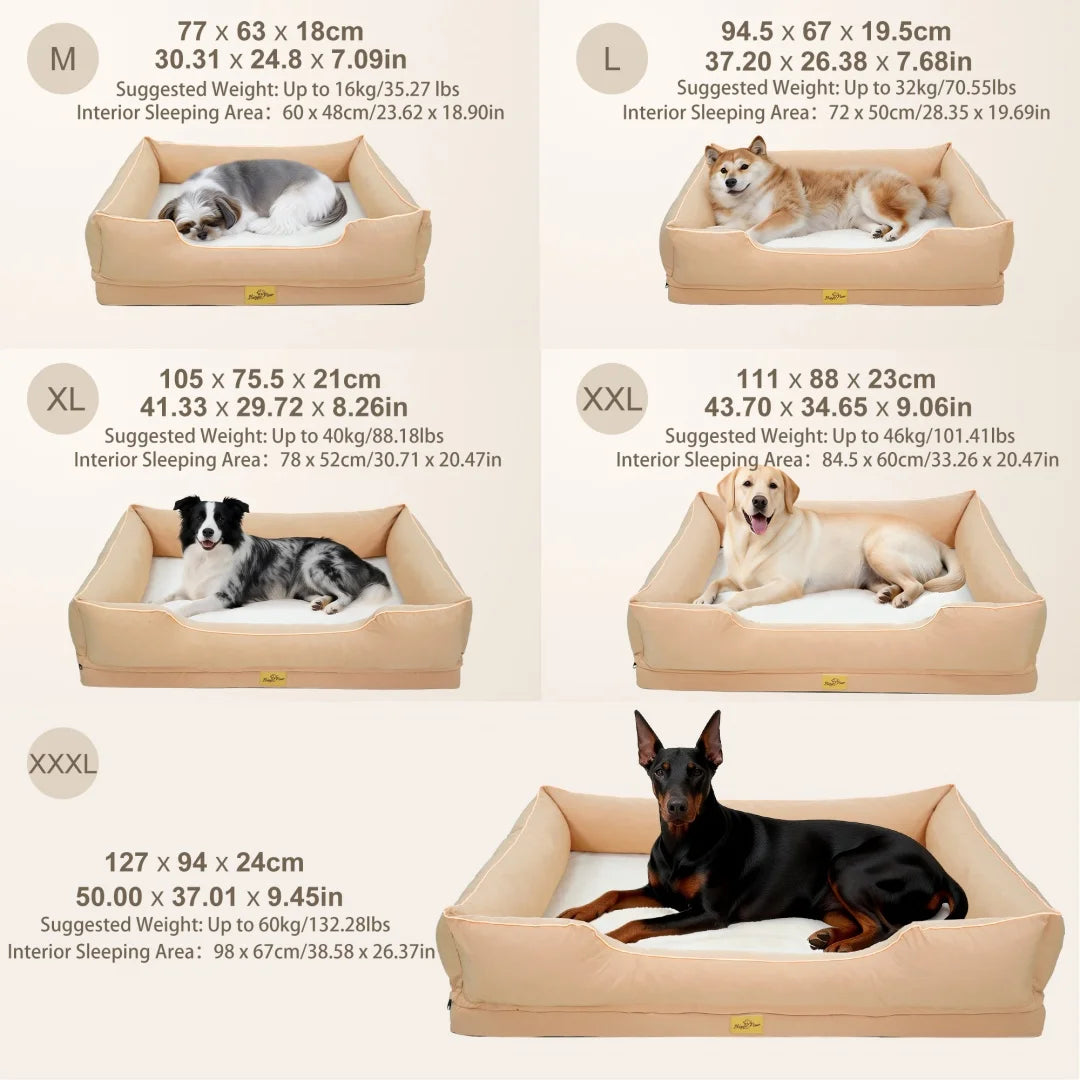 Size chart for dog beds showing dimensions and weight capacity for sizes M L XL XXL and XXXL