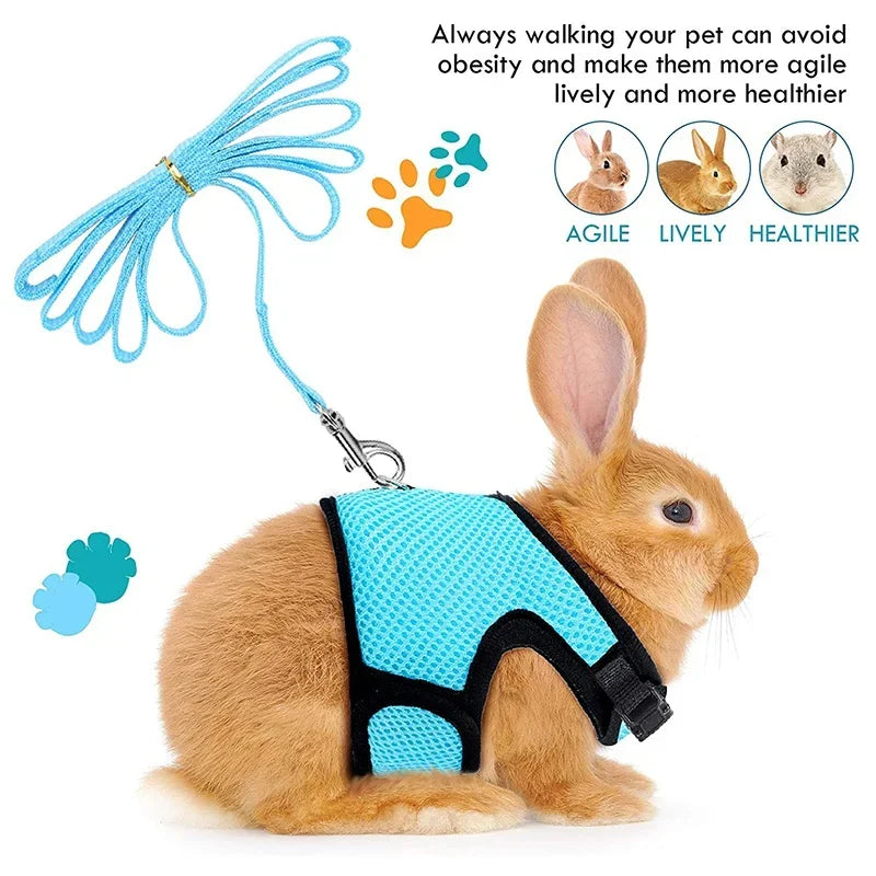 Breathable Mesh Harness & Leash Set for Small Pets – Rabbits, Guinea Pigs, Ferrets & Cats