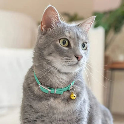 Mint Green Leather Cat Collar with Removable Bell & Safety Elastic Strap