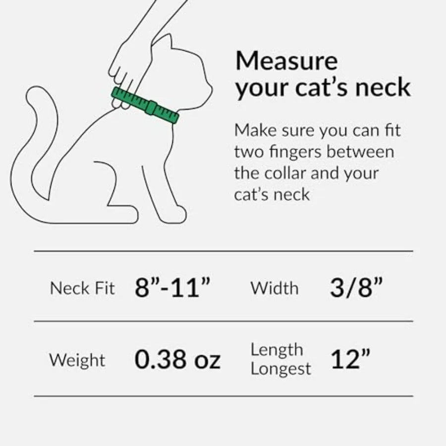 Mint Green Leather Cat Collar with Removable Bell & Safety Elastic Strap
