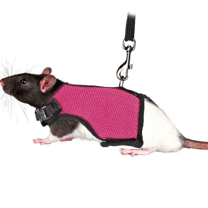 Breathable Mesh Harness & Leash Set for Small Pets – Rabbits, Guinea Pigs, Ferrets & Cats