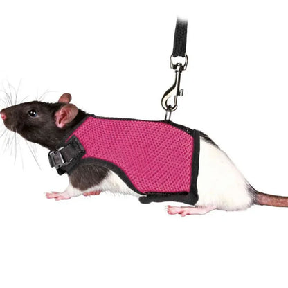 Breathable Mesh Harness & Leash Set for Small Pets – Rabbits, Guinea Pigs, Ferrets & Cats