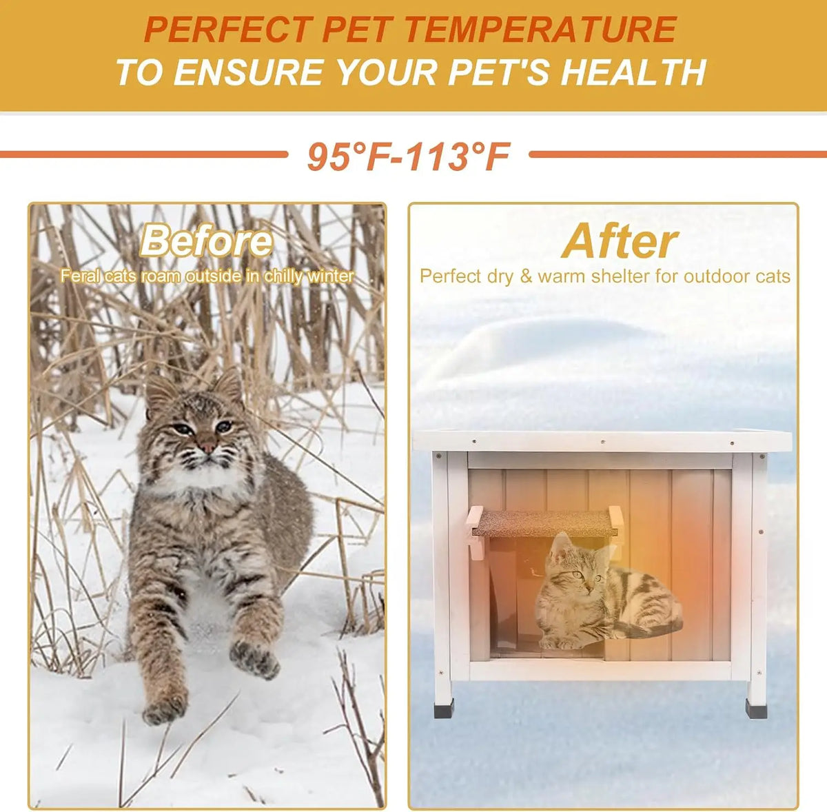 Comparison of a cat in the snow versus a cat inside a heated outdoor shelter