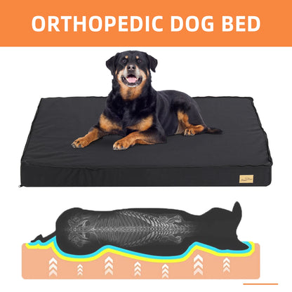 Rottweiler lying on a black orthopedic dog bed with a diagram showing spinal support