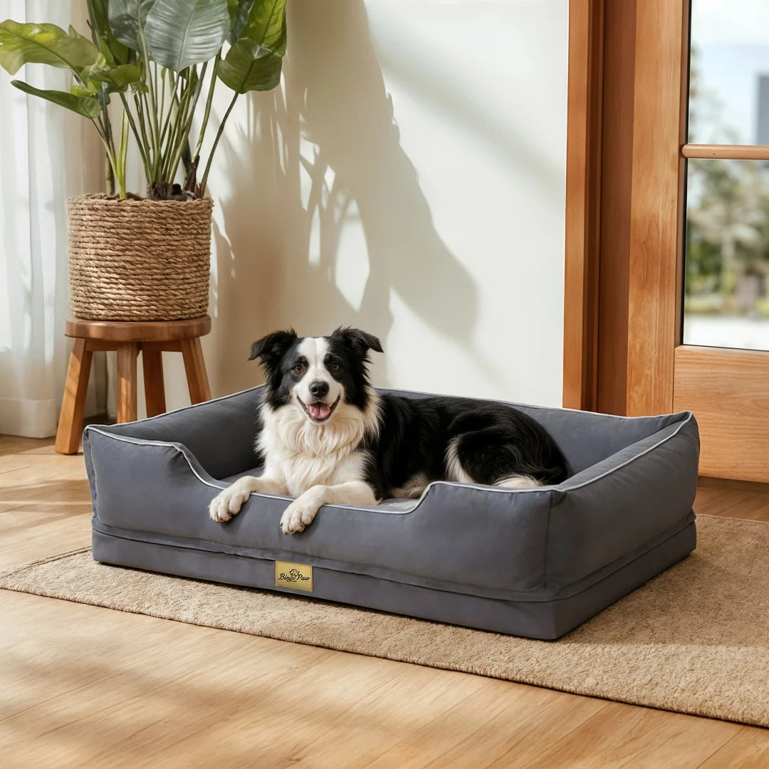 Border Collie lying on a grey rectangular BingoPaw pet bed on a wooden floor