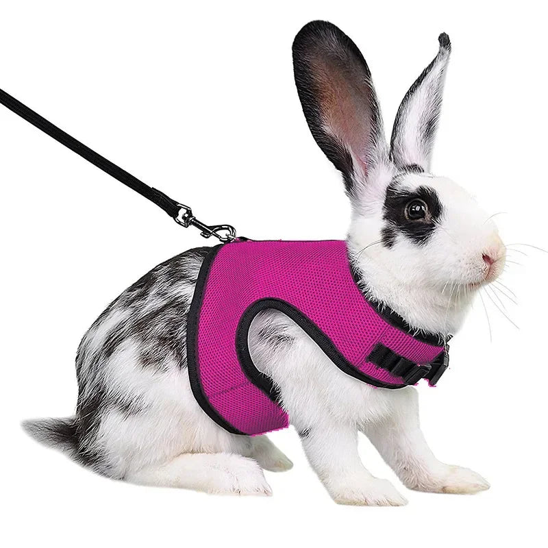 Breathable Mesh Harness & Leash Set for Small Pets – Rabbits, Guinea Pigs, Ferrets & Cats