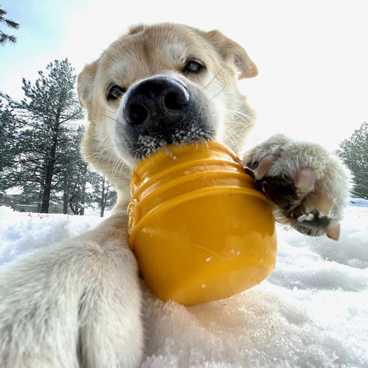 Honey Pot Dog Treat Dispenser – Durable Rubber Enrichment & Interactive Toy