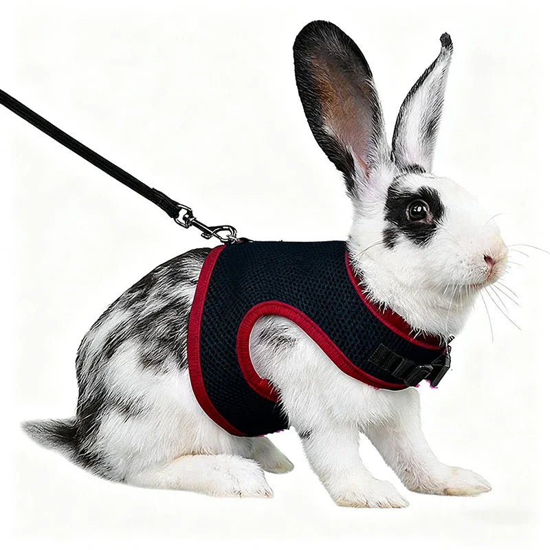 Breathable Mesh Harness & Leash Set for Small Pets – Rabbits, Guinea Pigs, Ferrets & Cats