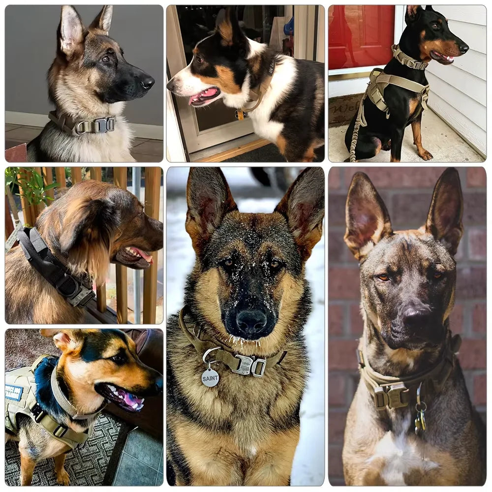 Adjustable Tactical Dog Collar & Leash Set with Control Handle for Small to Large Dogs