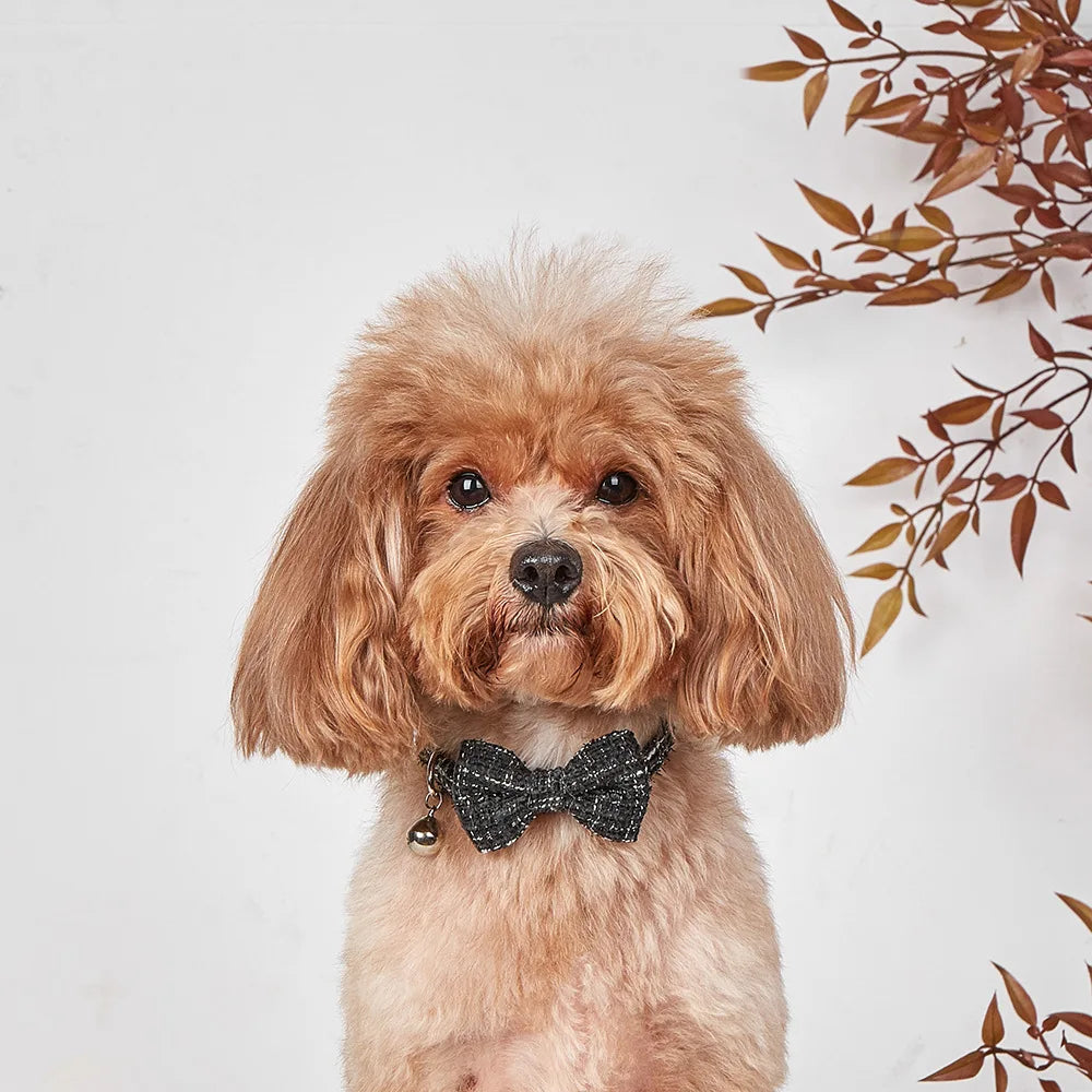 Plaid Breakaway Cat & Small Dog Collar with Removable Bow Tie & Bell