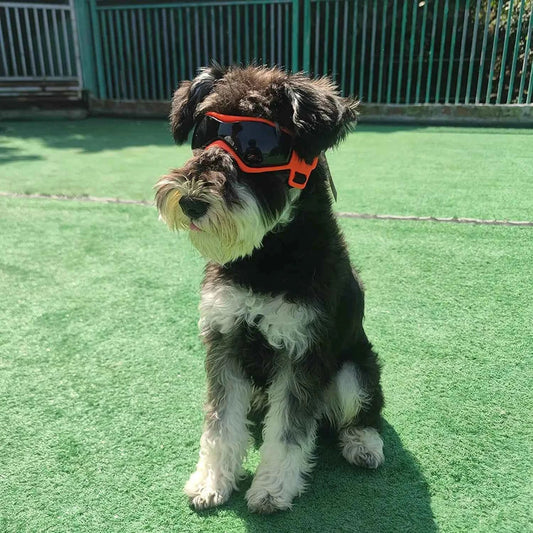 Pet UV Goggles: Cool Eyewear for Dogs