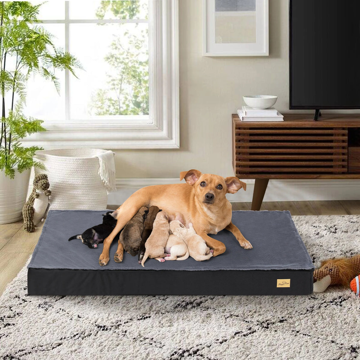 Mother dog nursing puppies on a grey rectangular pet bed