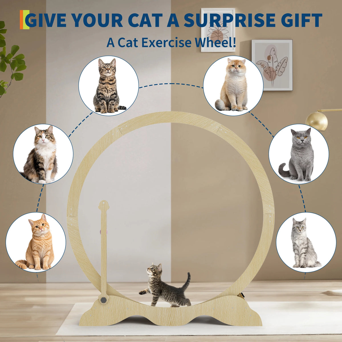 Quiet Indoor Cat Exercise Wheel – 43 Inch Cat Treadmill with Removable Carpet Running Surface