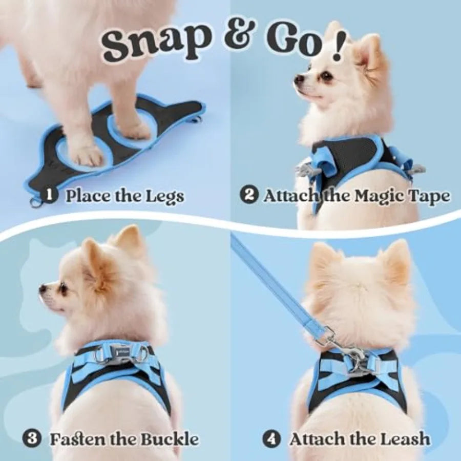 Four step guide showing how to put on a blue dog harness