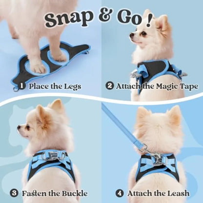 Four step guide showing how to put on a blue dog harness