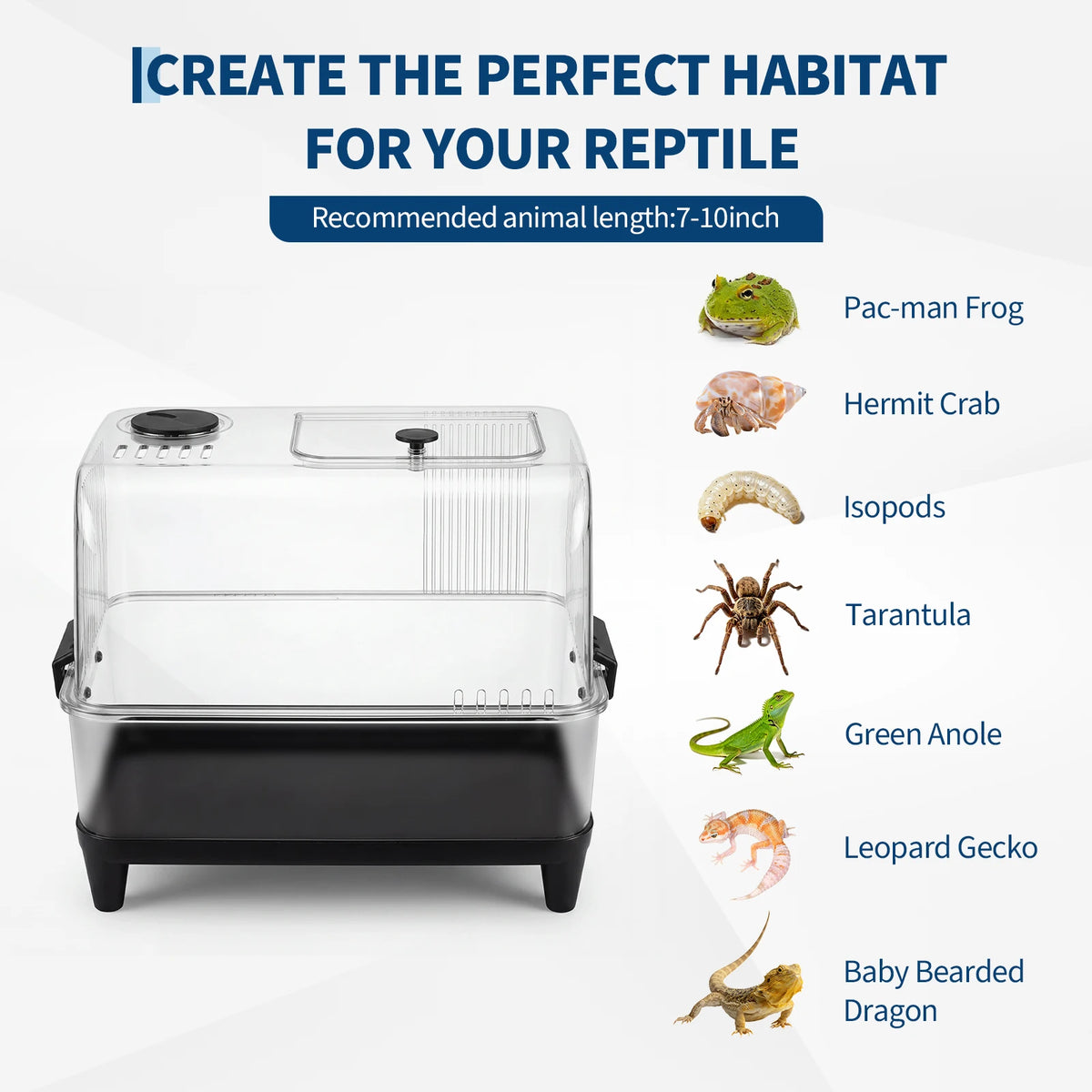 Clear reptile habitat with list of suitable animals including frog crab isopod tarantula anole gecko and bearded dragon