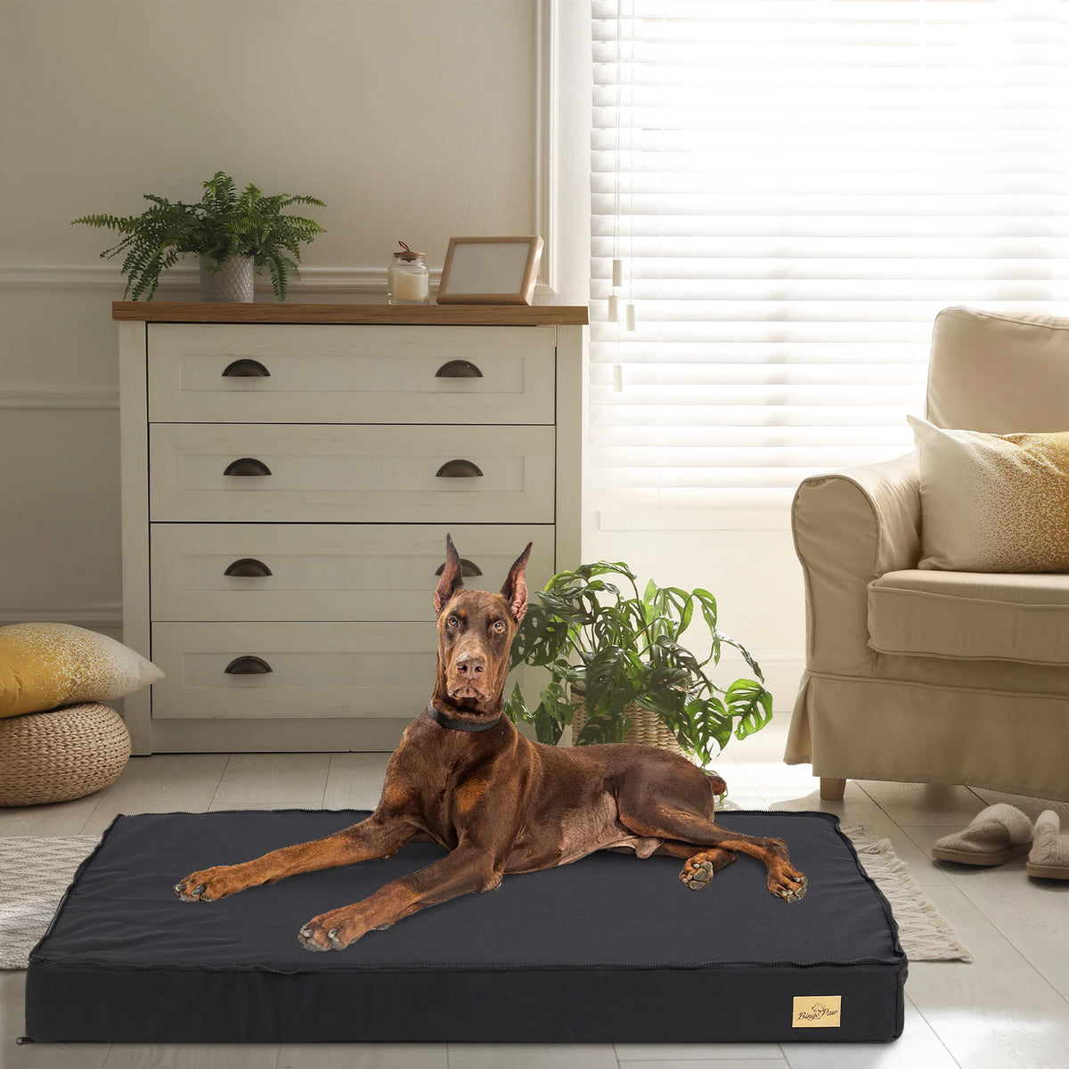 Doberman dog lying on a rectangular black pet bed in a living room