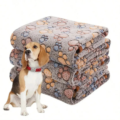 Beagle sitting next to a stack of grey pet blankets with a colorful paw print pattern