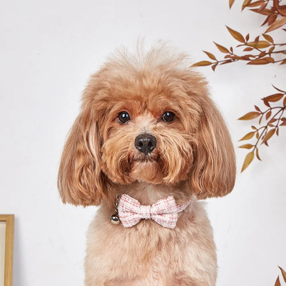 Plaid Breakaway Cat & Small Dog Collar with Removable Bow Tie & Bell