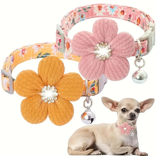 Two floral pet collars with 3D flower charms and bells shown with a small dog wearing one