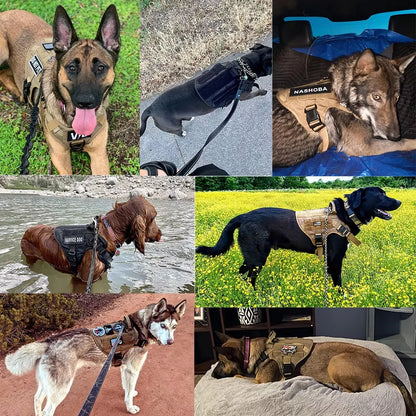Tactical Dog Harness, Collar & Leash Set with Pouches and Patches