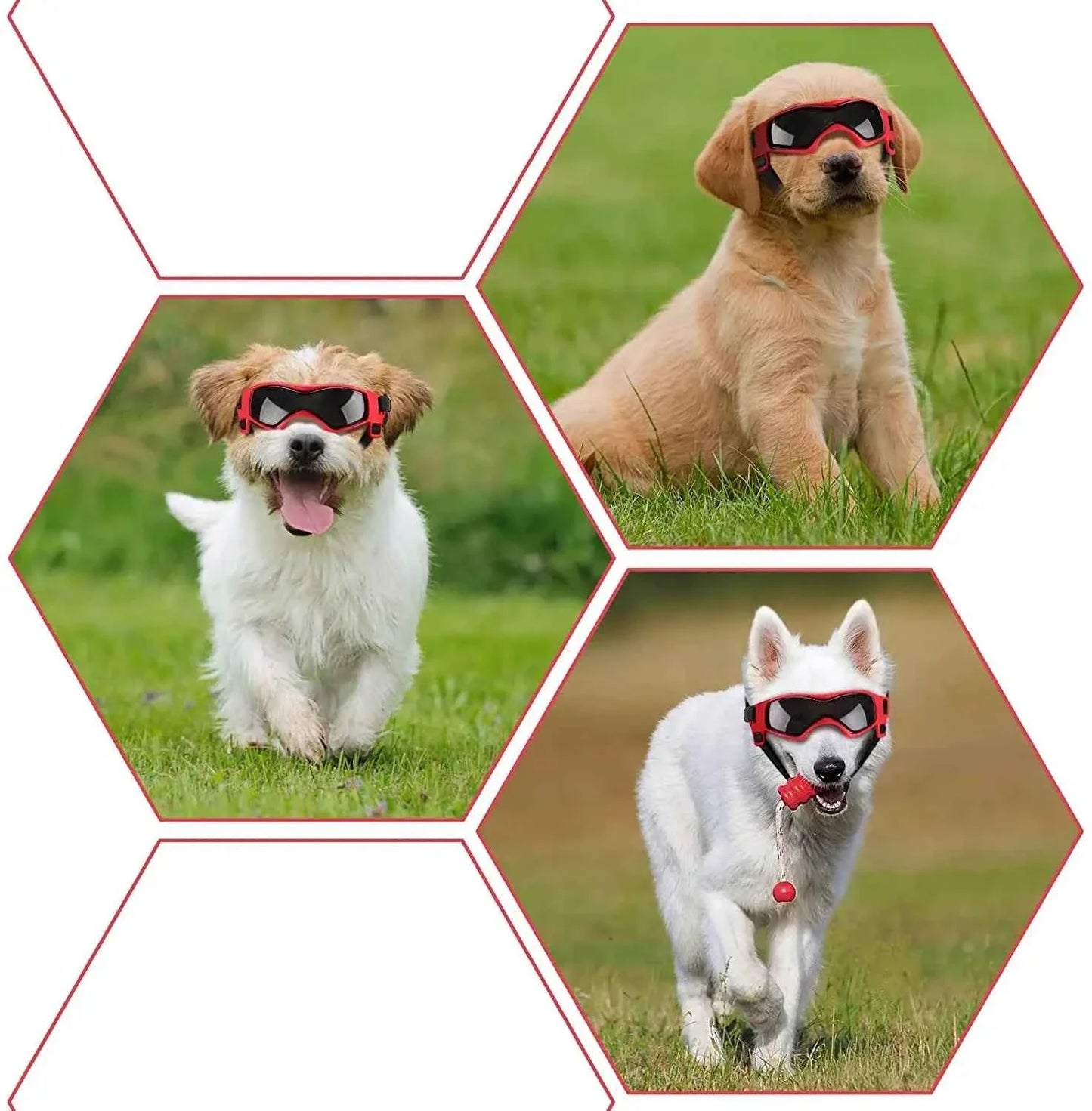 Pet UV Goggles: Cool Eyewear for Dogs