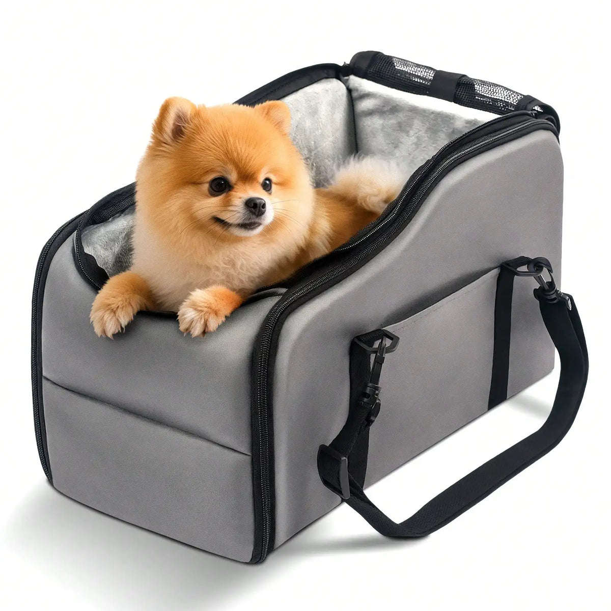 Small Pomeranian dog sitting inside a grey pet carrier bag