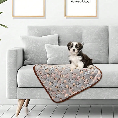 Small puppy sitting on a soft plush pet blanket with a paw print pattern on a grey sofa