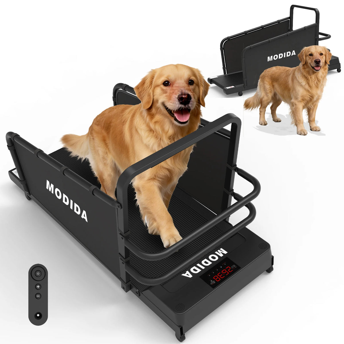 Indoor Dog Treadmill for Large Dogs – Adjustable Speed, Quiet Motor & LED Fitness Tracking Display
