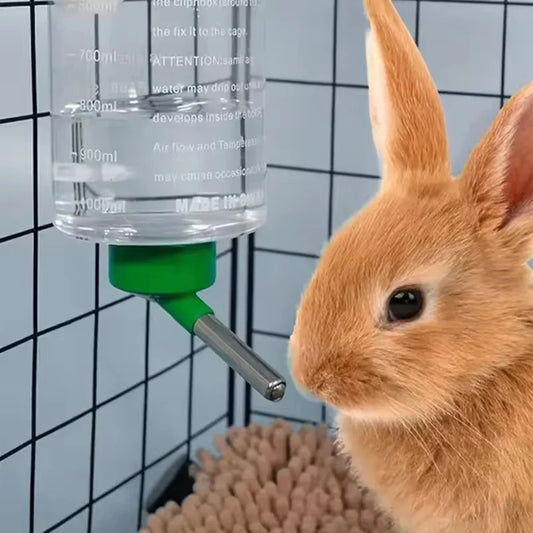 1000ml Hanging Water Bottle for Rabbits, Guinea Pigs & Small Pets