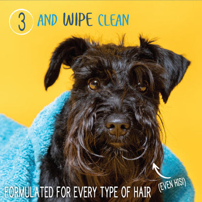 Waterless Shampoo + Conditioner