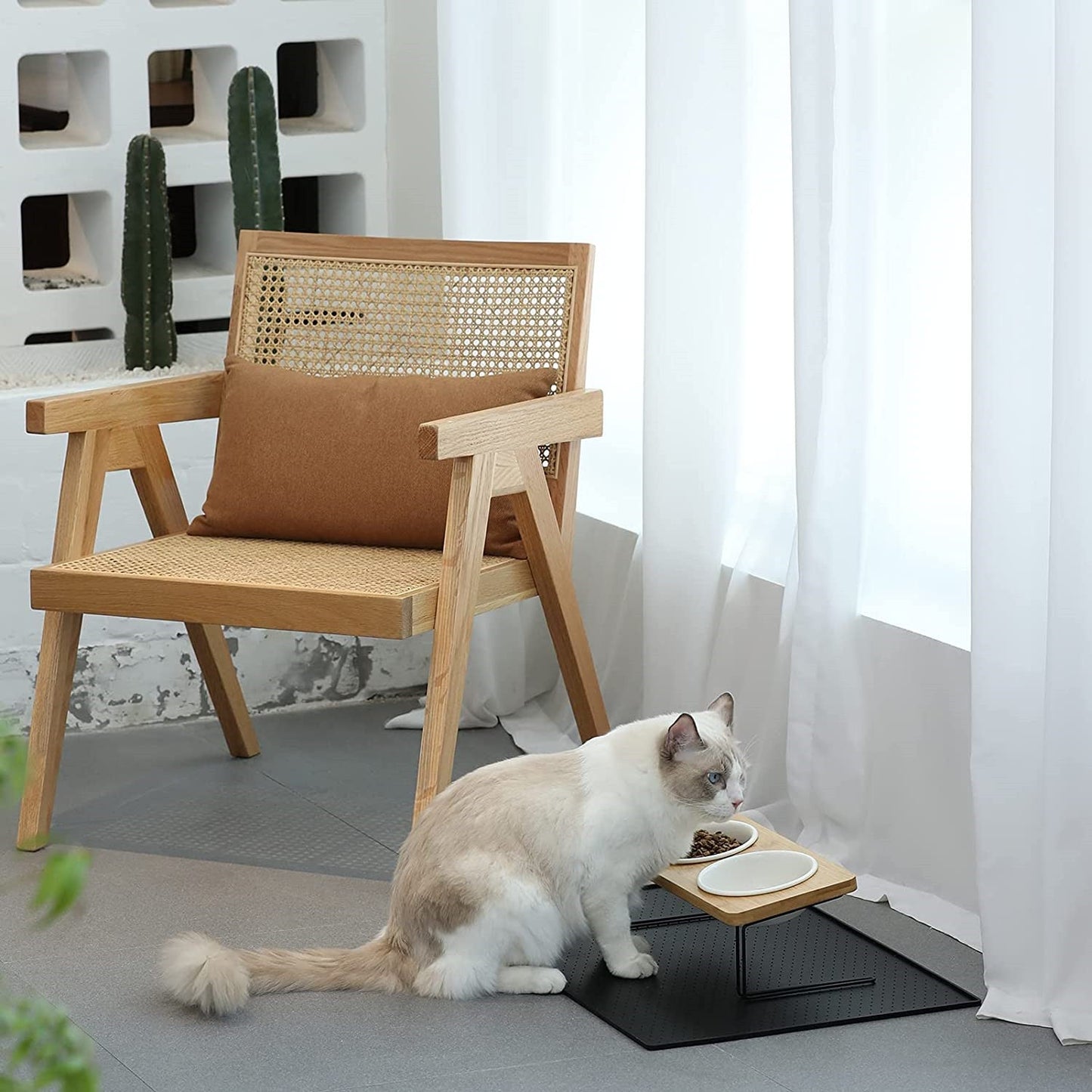 Cat Ceramic Water Bowl, Tall Drinking