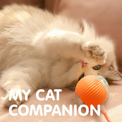 Cat Interactive Ball Toys, Automatic Rolling Ball For Kitten, Rechargeable Smart Pet Electric Toys With Teaser, Sensor Cat Ball Toy