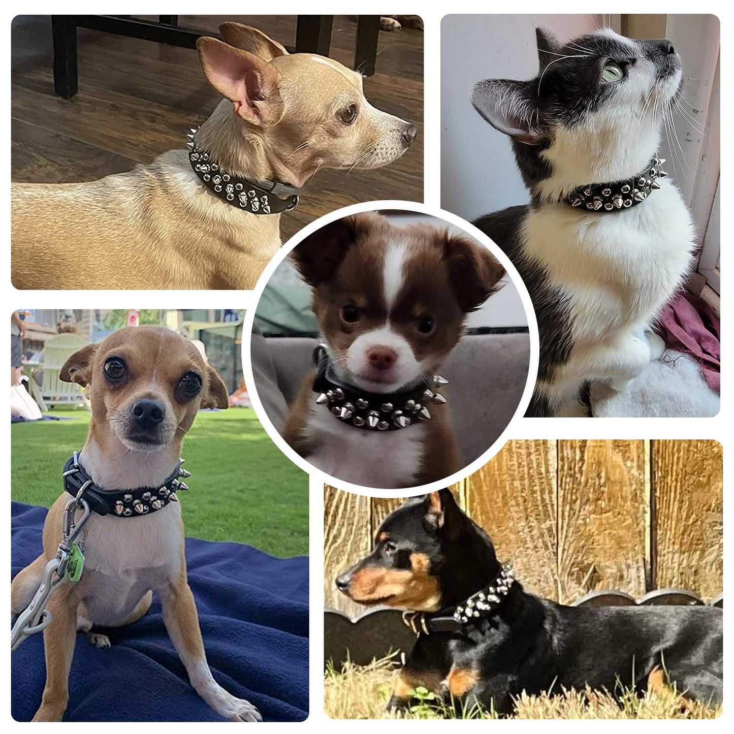 Small Spiked Black Dog, Cat Collar For Small Medium Dogs Boy Male - Adjustable Studded Puppy Collars - Soft Padded Punk Leather Dog Collar For Chihuahua French Bulldog Pug