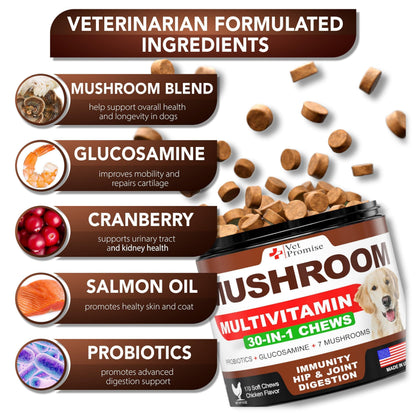 Vet Promise mushroom multivitamin chews showing ingredients like mushroom blend glucosamine cranberry salmon oil