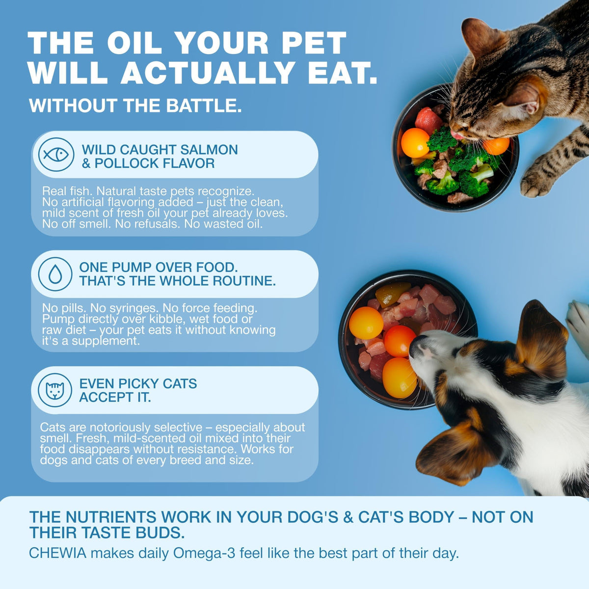 Infographic showing a cat and dog eating food with Chewia Omega-3 supplement benefits