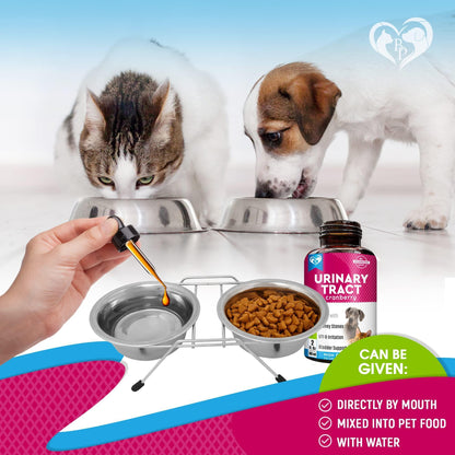 Urinary Tract Cranberry supplement bottle with cat and dog eating from bowls