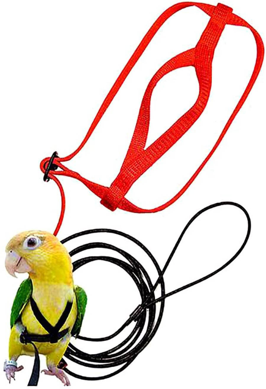 Parrot Flying Rope And Bird Harness