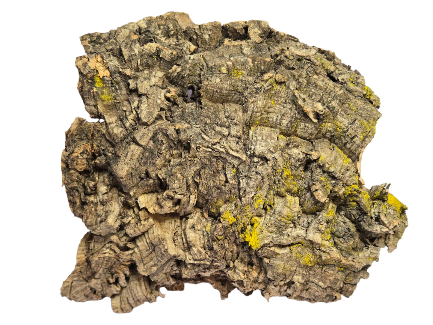 Cork Bark