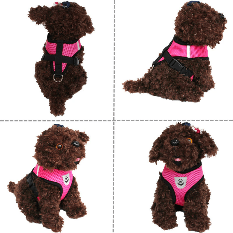 Cat, Dog Pet Harness Adjustable Control Vest Reflective Leash