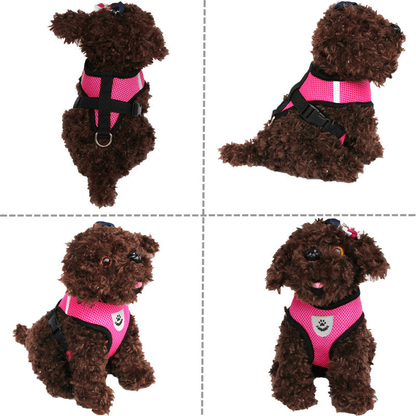 Cat, Dog Pet Harness Adjustable Control Vest Reflective Leash