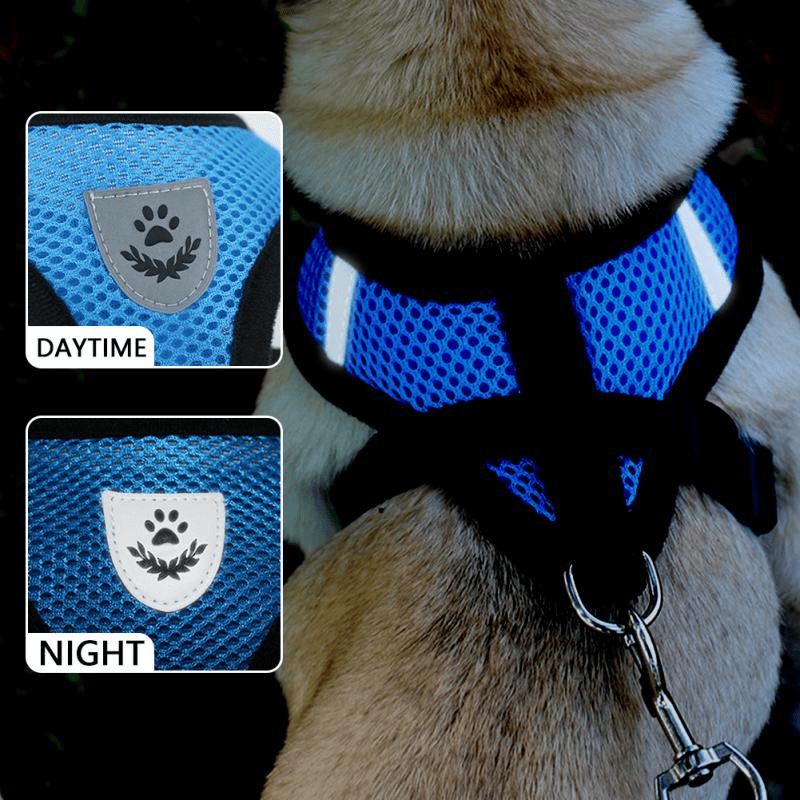 Cat, Dog Pet Harness Adjustable Control Vest Reflective Leash