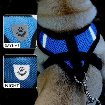 Cat, Dog Pet Harness Adjustable Control Vest Reflective Leash